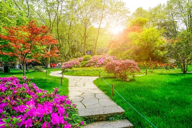Entretien du Jardin au Printemps : Guide Complet pour un Jardin Verdoyant et Florissant